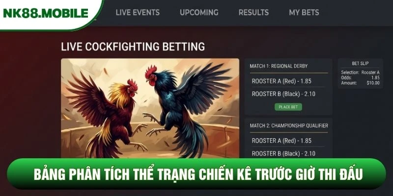 Bảng phân tích thể trạng chiến kê trước giờ thi đấu
