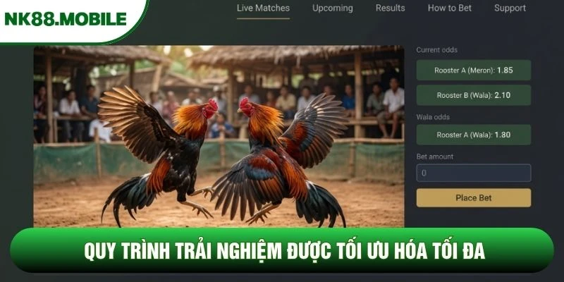 Quy trình trải nghiệm được tối ưu hóa tối đa