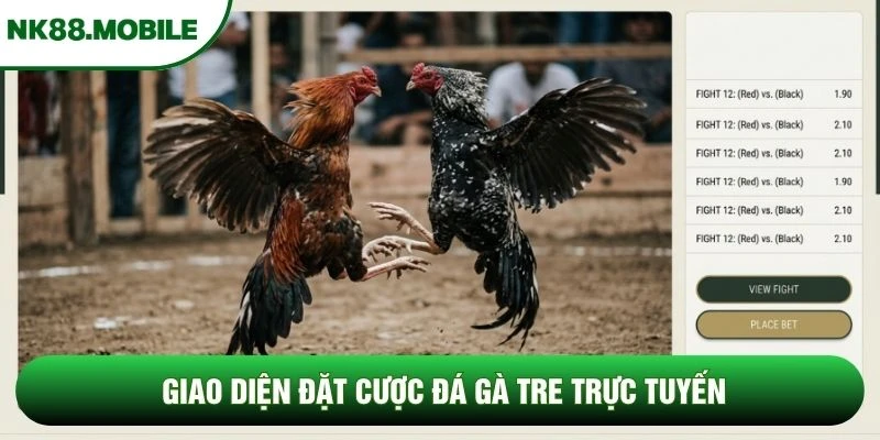 Giao diện đặt cược đá gà tre trực tuyến