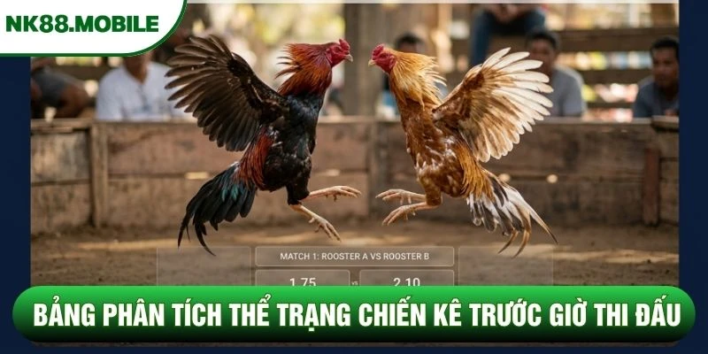 Bảng phân tích thể trạng chiến kê trước giờ thi đấu