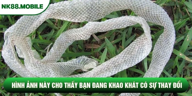 Hình ảnh này cho thấy bạn đang khao khát có sự thay đổi