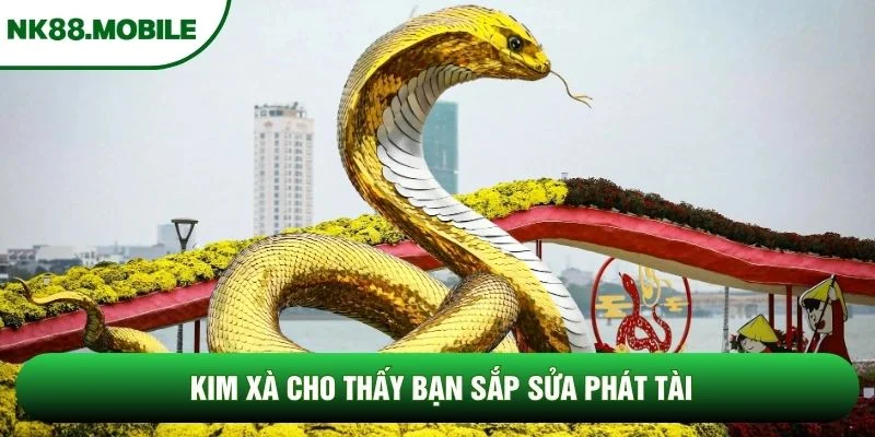 Kim xà cho thấy bạn sắp sửa phát tài